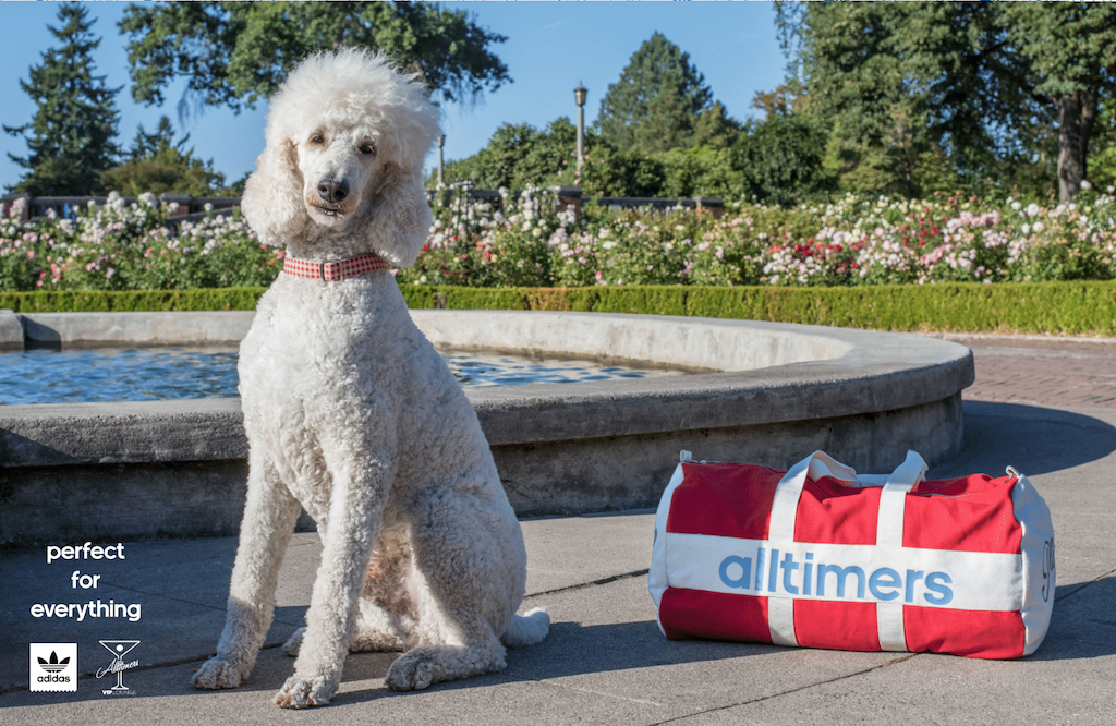 Adidas X Alltimers Now Available