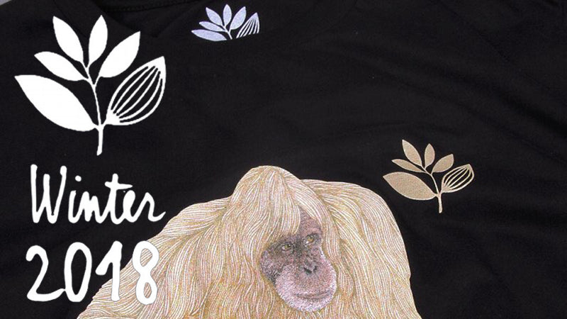 Magenta Winter 2018 Clothing & Skateboards