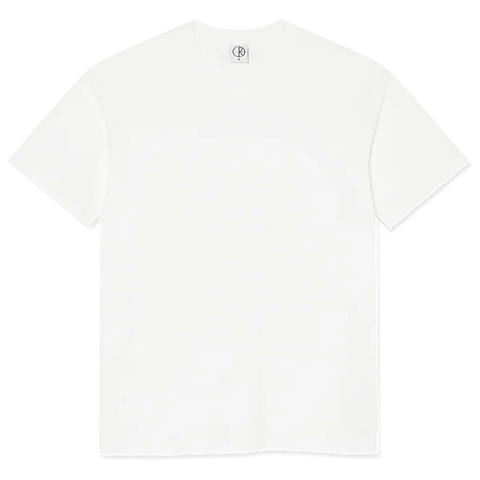 Polar Skate Co Basic T-Shirt light blue pure boardshop