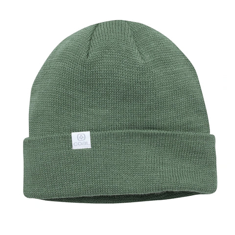 Coal The FLT Beanie Sage Pure boardshop