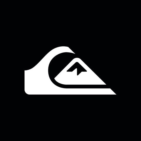 quiksilver pure board shop