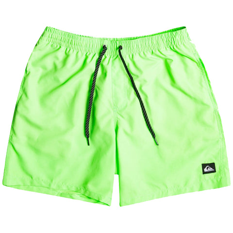 Quiksilver Everyday 17" Volley Swim Shorts green geko